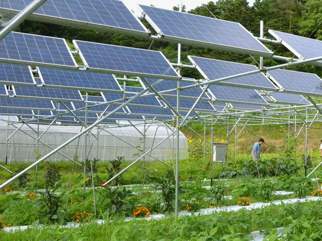 Lắp đặt điện mặt trời cho trang trại, ao vườn